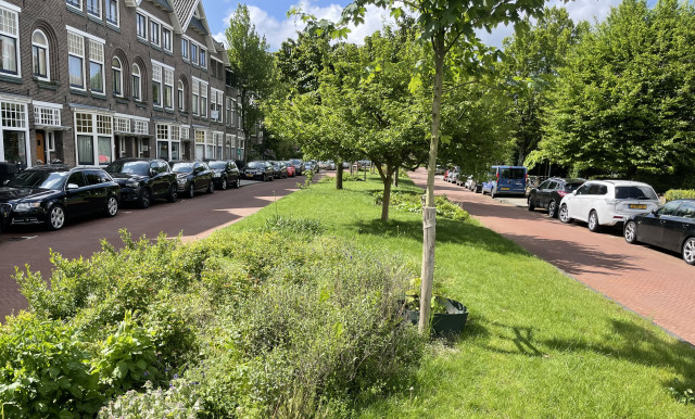 Buitenruimte groen