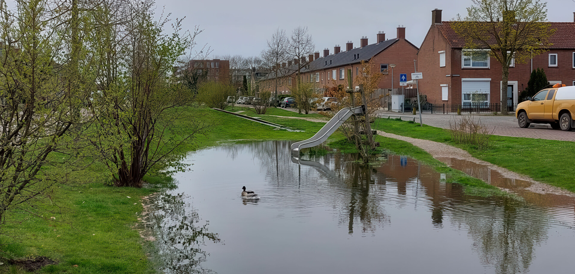 Overvloedig regenwater breed