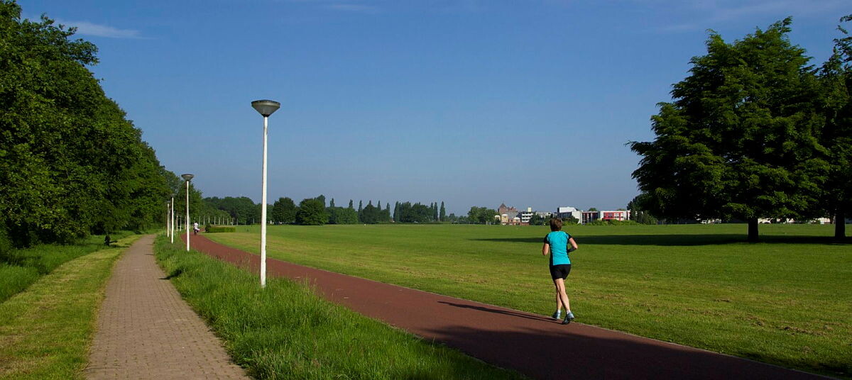 Vrouw rennend in park